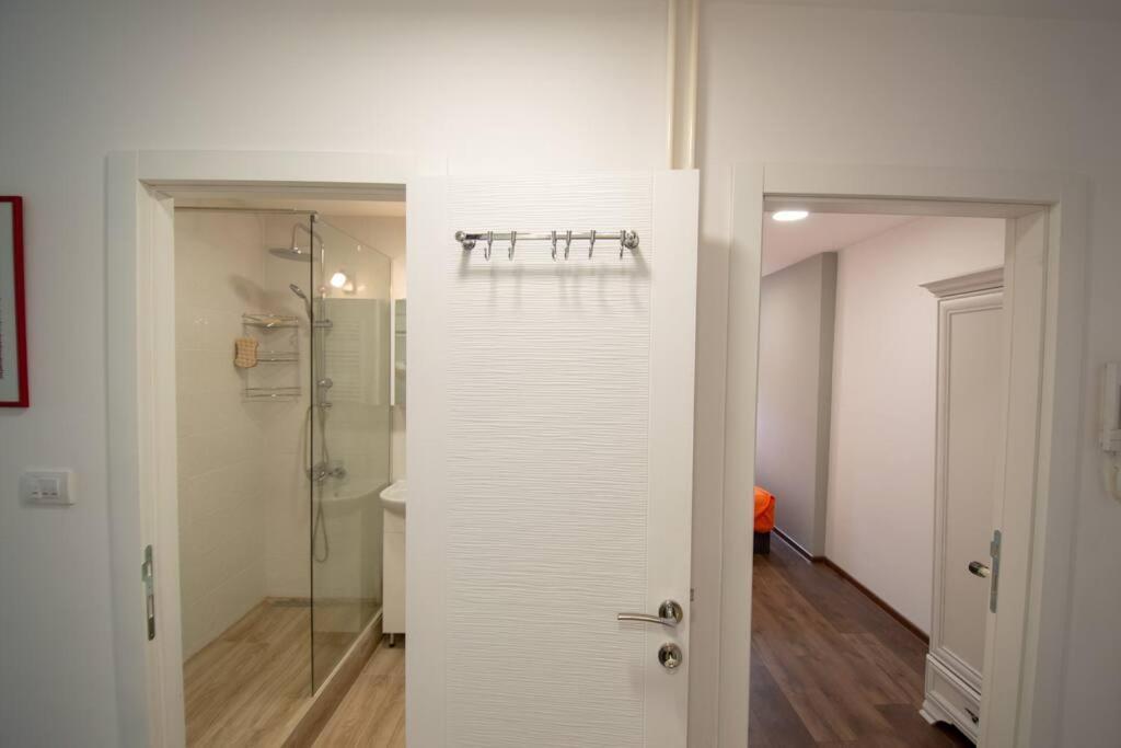 Apartment Spacious Luxury ”nelly” Novi Sad