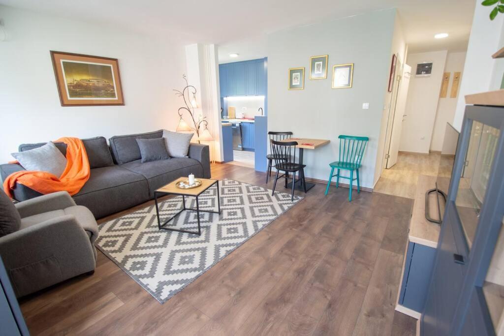 Apartment Spacious Luxury ”nelly” Novi Sad